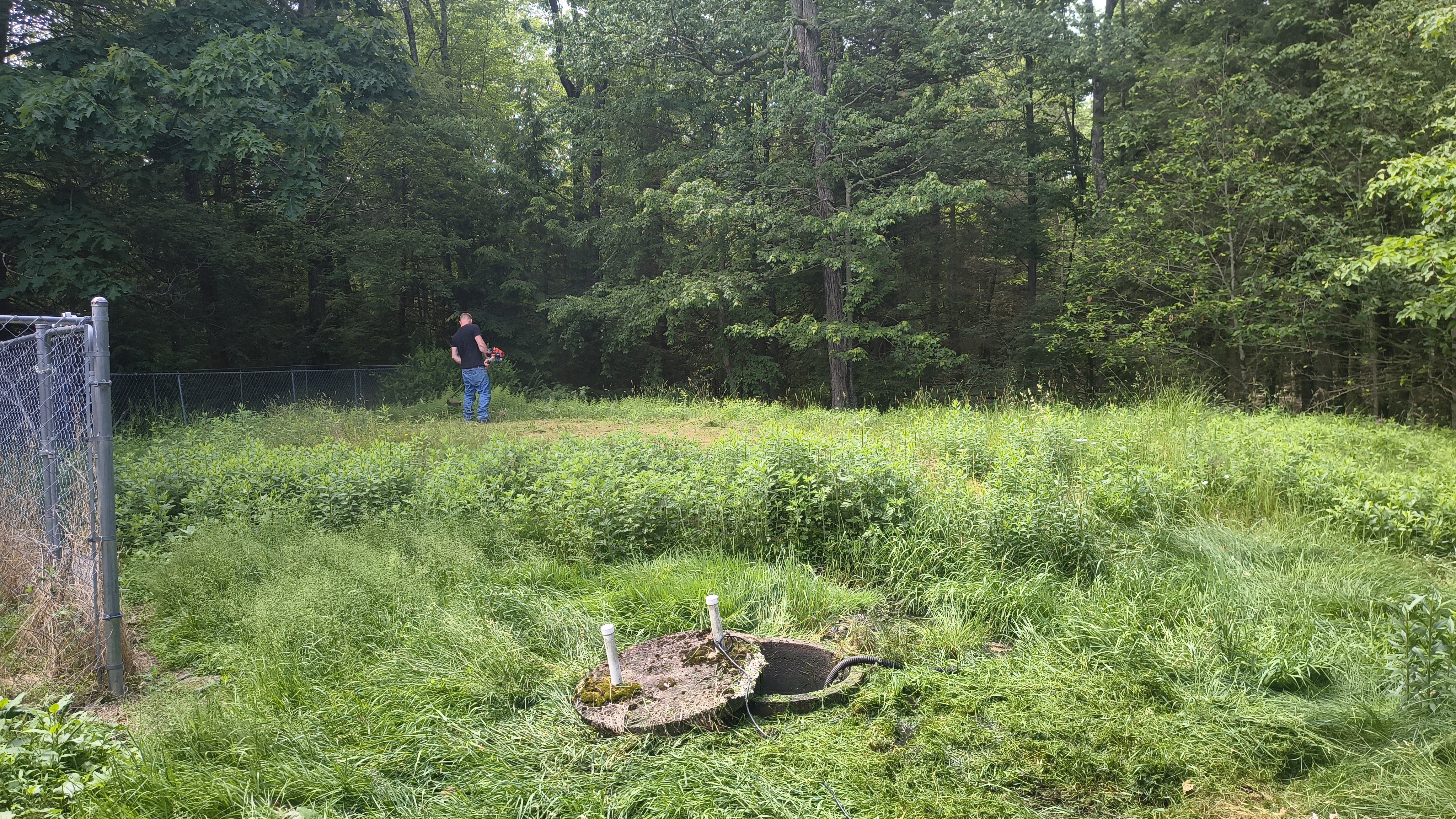 Overgrown vegetation around the sand mound and open pump chamber before cutback in Waverly Pennsylvania